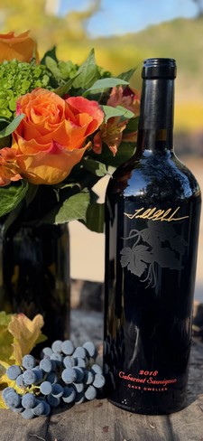 2018 Cave Dweller Case